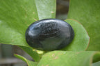 Polished Black Tourmaline Palm Stones x 24 From Madagascar - Toprock Gemstones and Minerals 