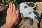 Hand Made Wonder Stone Panda Carving x 1 From Zimbabwe - Toprock Gemstones and Minerals 