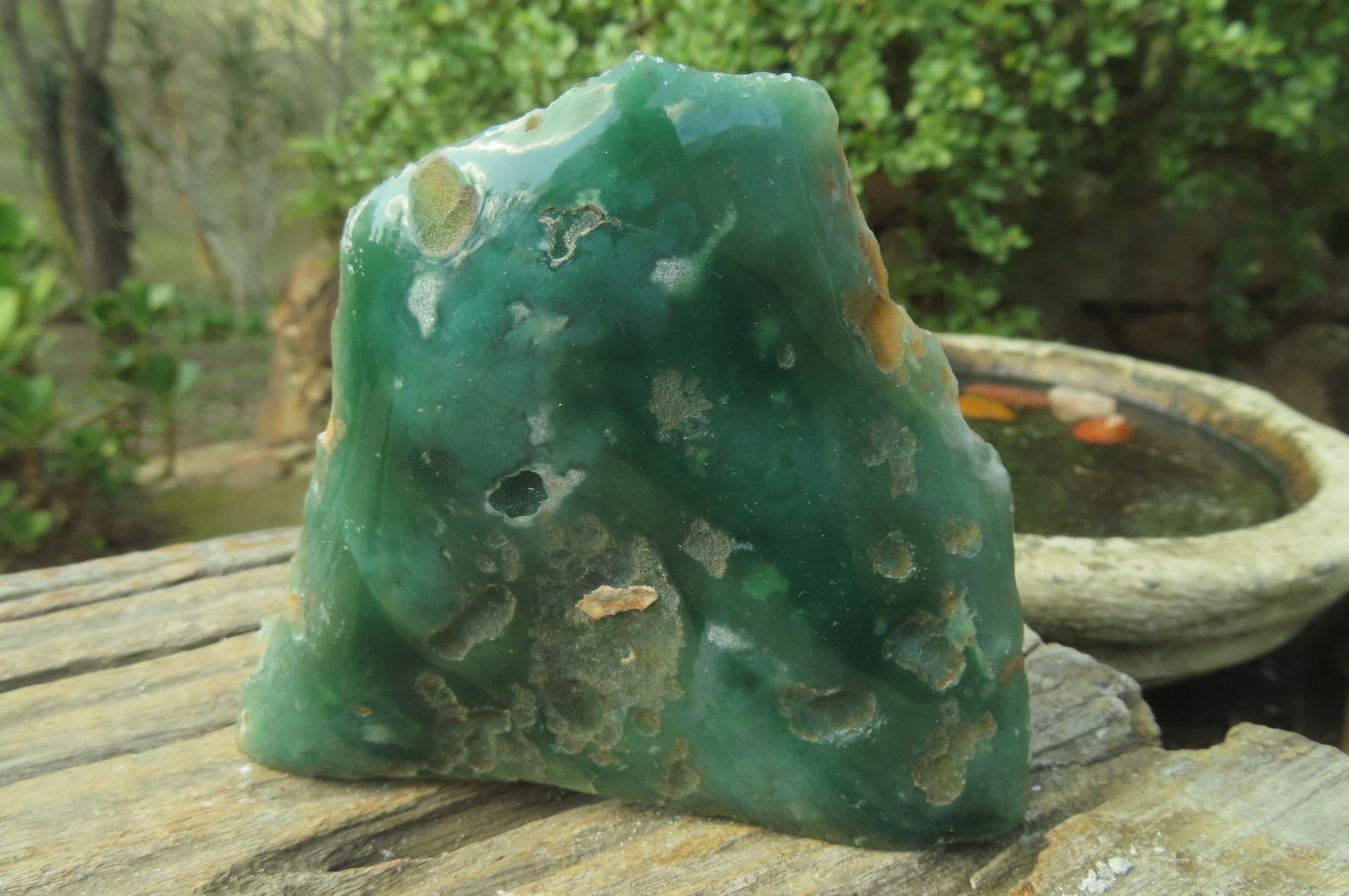 Polished Mtorolite Slices x 6 From Mutorashanga, Zimbabwe - Toprock Gemstones and Minerals 