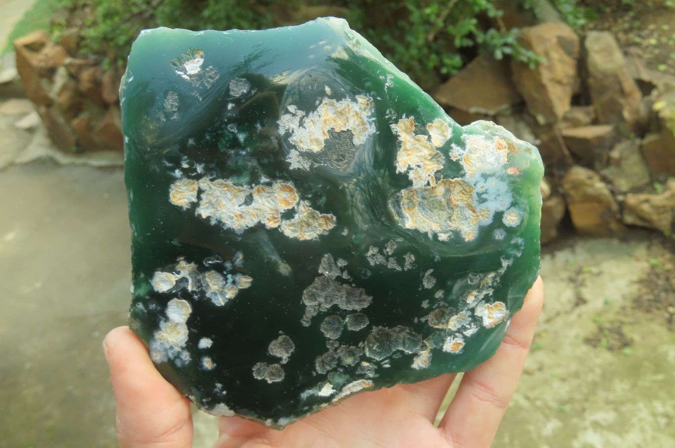 Polished Mtorolite Slices x 6 From Mutorashanga, Zimbabwe - Toprock Gemstones and Minerals 