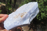Natural Crystalline Blue Lace Agate Plates x 2 From Namibia - Toprock Gemstones and Minerals 