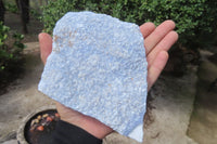 Natural Crystalline Blue Lace Agate Plates x 2 From Namibia - Toprock Gemstones and Minerals 