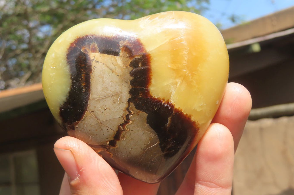 Polished Septerye Hearts x 6 From Mahajanga, Madagascar - Toprock Gemstones and Minerals 
