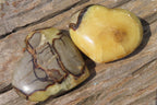 Polished Septerye Hearts x 6 From Mahajanga, Madagascar - Toprock Gemstones and Minerals 