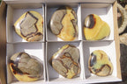 Polished Septerye Hearts x 6 From Mahajanga, Madagascar - Toprock Gemstones and Minerals 