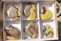 Polished Septerye Hearts x 6 From Mahajanga, Madagascar