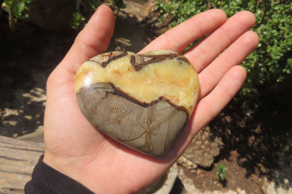 Polished Septerye Hearts x 6 From Mahajanga, Madagascar - Toprock Gemstones and Minerals 