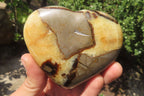 Polished Septerye Hearts x 6 From Mahajanga, Madagascar - Toprock Gemstones and Minerals 