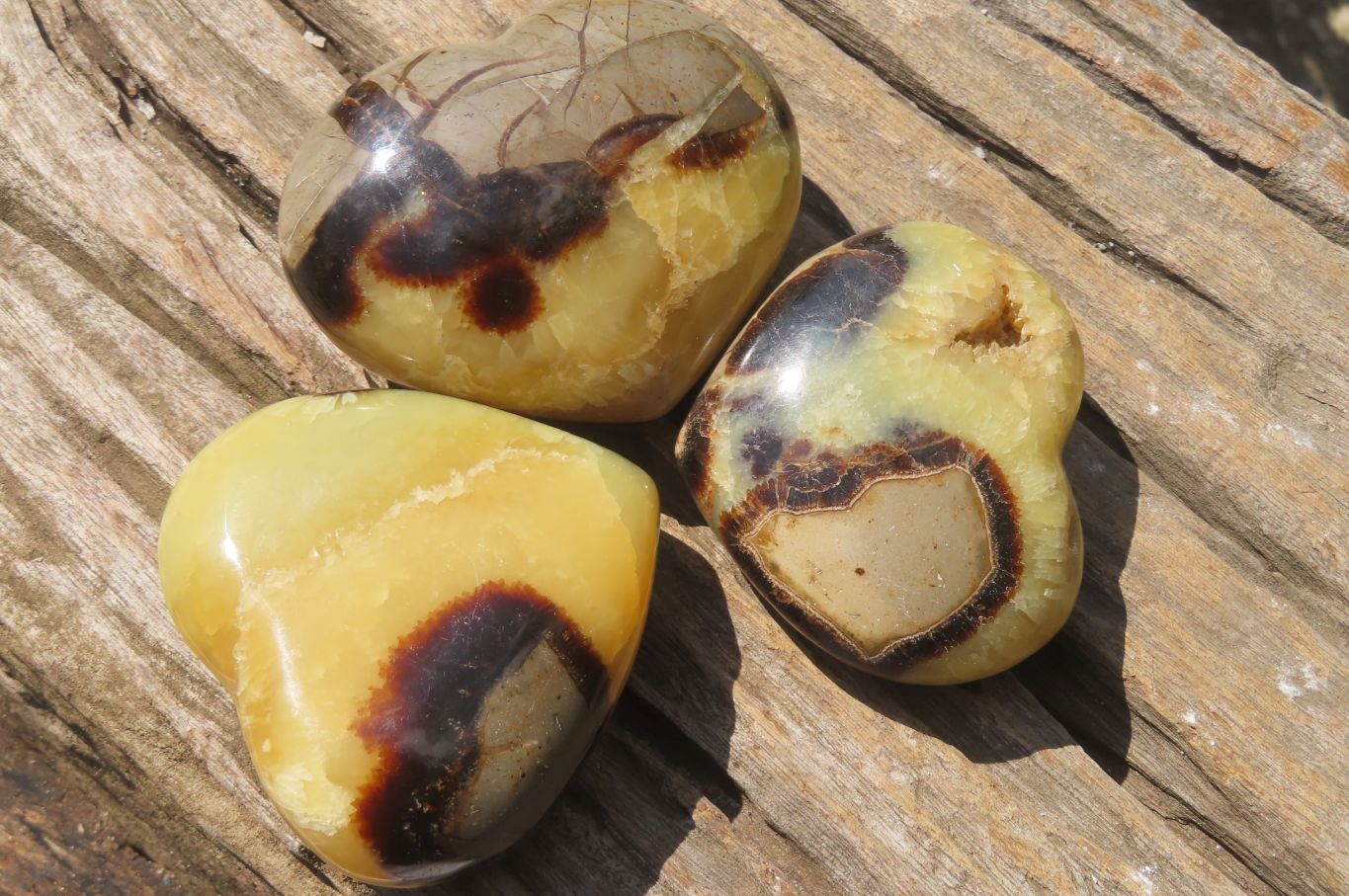 Polished Septerye Hearts x 6 From Mahajanga, Madagascar - Toprock Gemstones and Minerals 