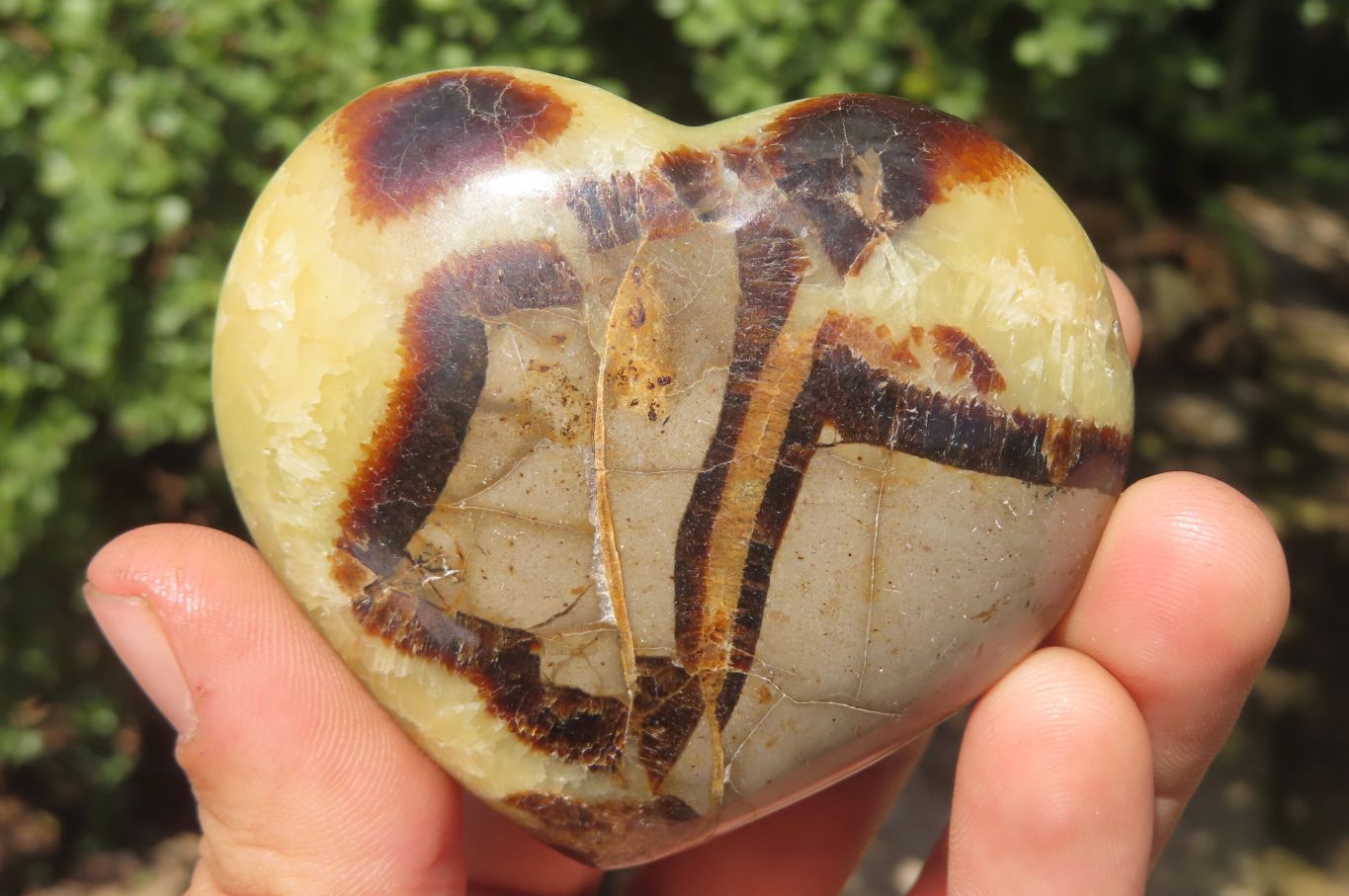 Polished Septerye Hearts x 6 From Mahajanga, Madagascar - Toprock Gemstones and Minerals 