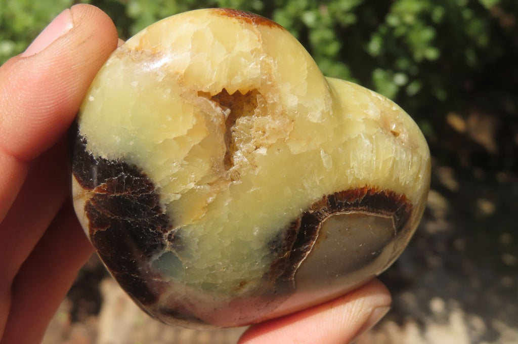 Polished Septerye Hearts x 6 From Mahajanga, Madagascar - Toprock Gemstones and Minerals 