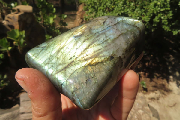 Polished Labradorite Standing Free Forms x 2 From Tulear, Madagascar - Toprock Gemstones and Minerals 