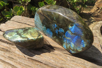 Polished Labradorite Standing Free Forms x 2 From Tulear, Madagascar - Toprock Gemstones and Minerals 