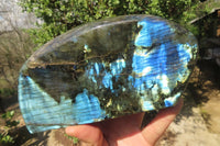 Polished Labradorite Standing Free Forms x 2 From Tulear, Madagascar - Toprock Gemstones and Minerals 