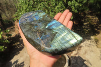 Polished Labradorite Standing Free Forms x 2 From Tulear, Madagascar - Toprock Gemstones and Minerals 