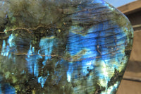 Polished Labradorite Standing Free Forms x 2 From Tulear, Madagascar - Toprock Gemstones and Minerals 