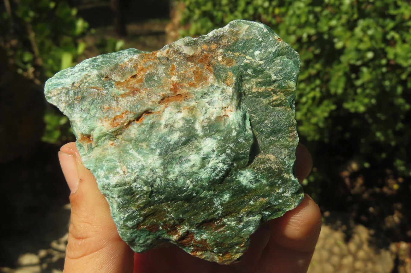 Natural Jade Cobbed Specimens x 12 From Swaziland - Toprock Gemstones and Minerals 