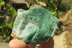 Natural Jade Cobbed Specimens x 12 From Swaziland - Toprock Gemstones and Minerals 