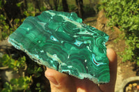 Polished Malacolla Slices x 4 From Kalukundi Mine, Congo - Toprock Gemstones and Minerals 
