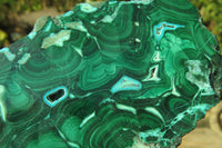 Polished Malacolla Slices x 4 From Kalukundi Mine, Congo - Toprock Gemstones and Minerals 