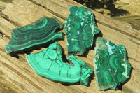 Polished Malacolla Slices x 4 From Kalukundi Mine, Congo - Toprock Gemstones and Minerals 
