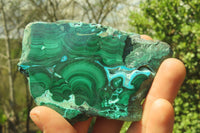 Polished Malacolla Slices x 4 From Kalukundi Mine, Congo - Toprock Gemstones and Minerals 