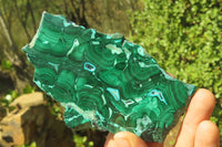 Polished Malacolla Slices x 4 From Kalukundi Mine, Congo - Toprock Gemstones and Minerals 