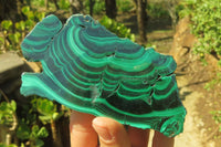Polished Malacolla Slices x 4 From Kalukundi Mine, Congo - Toprock Gemstones and Minerals 
