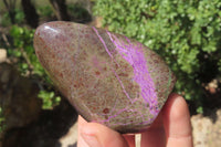 Polished Stichtite Standing Free Forms x 6 From Barberton, South Africa - Toprock Gemstones and Minerals 