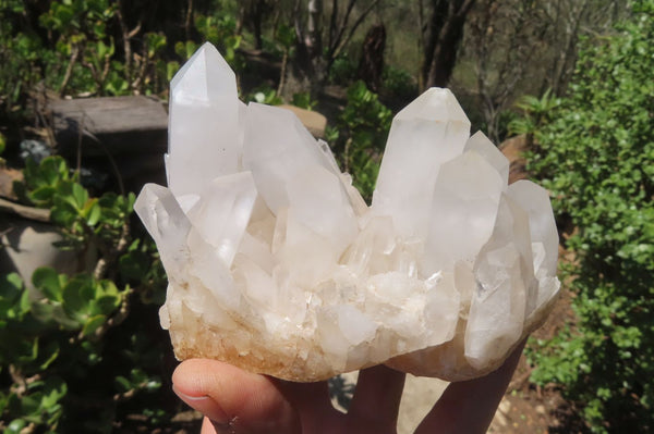 Natural White Quartz Clusters x 2 From Madagascar - Toprock Gemstones and Minerals 