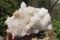 Natural White Quartz Clusters x 2 From Madagascar - Toprock Gemstones and Minerals 