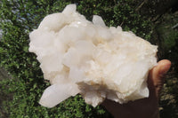 Natural White Quartz Clusters x 2 From Madagascar - Toprock Gemstones and Minerals 