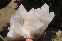 Natural White Quartz Clusters x 2 From Madagascar - Toprock Gemstones and Minerals 