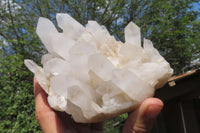 Natural White Quartz Clusters x 2 From Madagascar - Toprock Gemstones and Minerals 