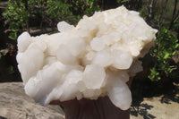 Natural White Quartz Clusters x 2 From Madagascar - Toprock Gemstones and Minerals 