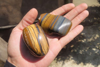 Polished Tiger's Eye Free Forms x 12 From Prieska, South Africa