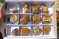 Polished Tiger's Eye Free Forms x 12 From Prieska, South Africa