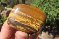 Polished Tiger's Eye Free Forms x 12 From Prieska, South Africa