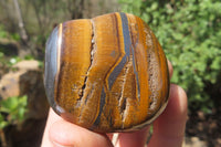 Polished Tiger's Eye Free Forms x 12 From Prieska, South Africa