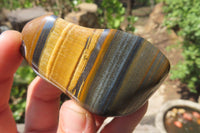 Polished Tiger's Eye Free Forms x 12 From Prieska, South Africa