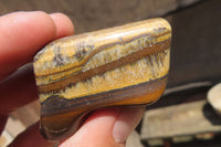 Polished Tiger's Eye Free Forms x 12 From Prieska, South Africa