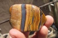 Polished Tiger's Eye Free Forms x 12 From Prieska, South Africa