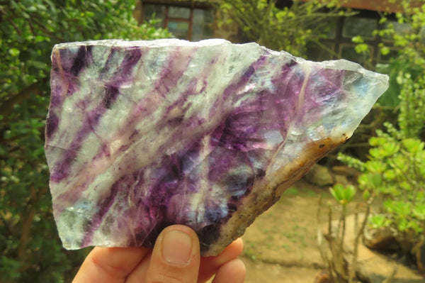 Polished Watermelon Fluorite Slices x 3 From Namibia
