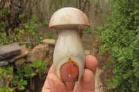 Polished Polychrome Jasper Mushrooms x 6 From Madagascar - Toprock Gemstones and Minerals 