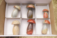 Polished Polychrome Jasper Mushrooms x 6 From Madagascar - Toprock Gemstones and Minerals 
