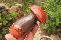 Polished Polychrome Jasper Mushrooms x 6 From Madagascar - Toprock Gemstones and Minerals 