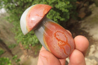 Polished Polychrome Jasper Mushrooms x 6 From Madagascar - Toprock Gemstones and Minerals 