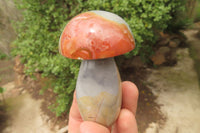 Polished Polychrome Jasper Mushrooms x 6 From Madagascar - Toprock Gemstones and Minerals 