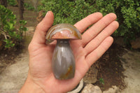 Polished Polychrome Jasper Mushrooms x 6 From Madagascar - Toprock Gemstones and Minerals 