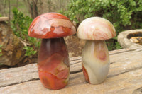 Polished Polychrome Jasper Mushrooms x 6 From Madagascar - Toprock Gemstones and Minerals 